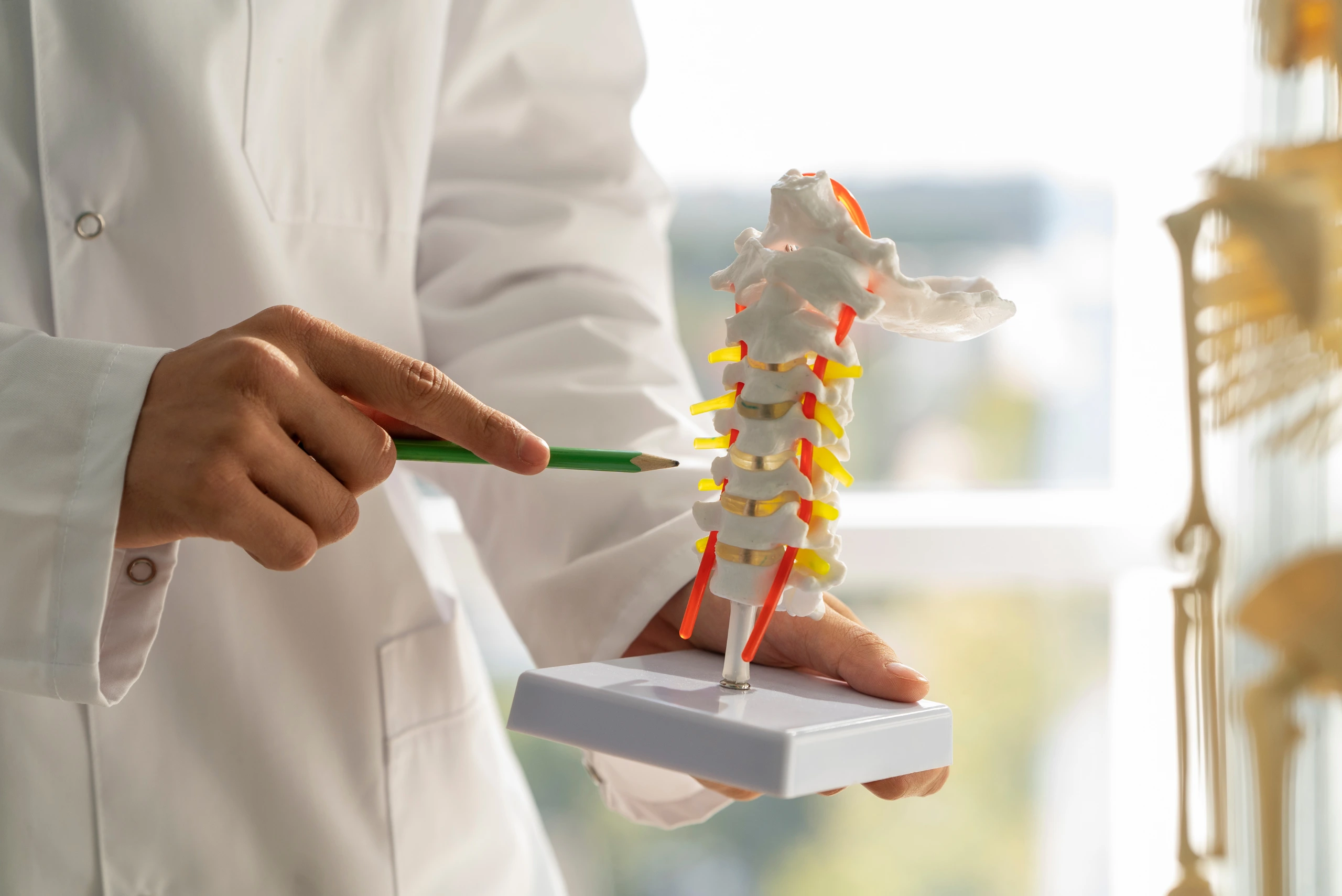 Orthopedics 1
