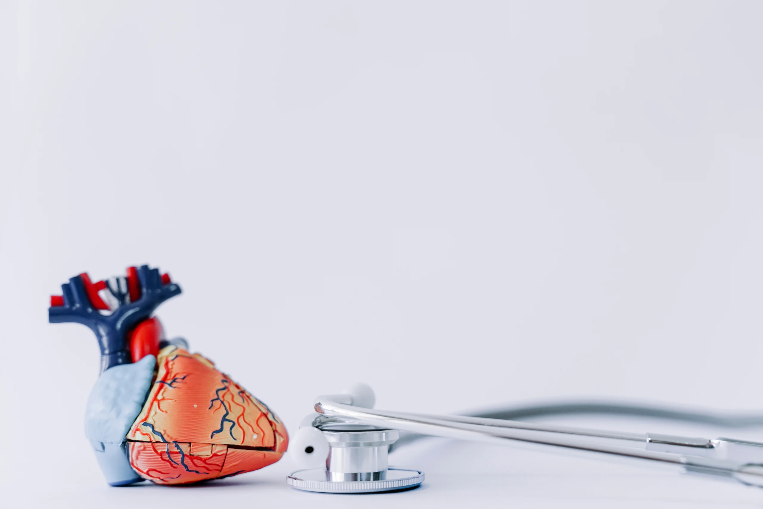 Our Cardiology Department 2