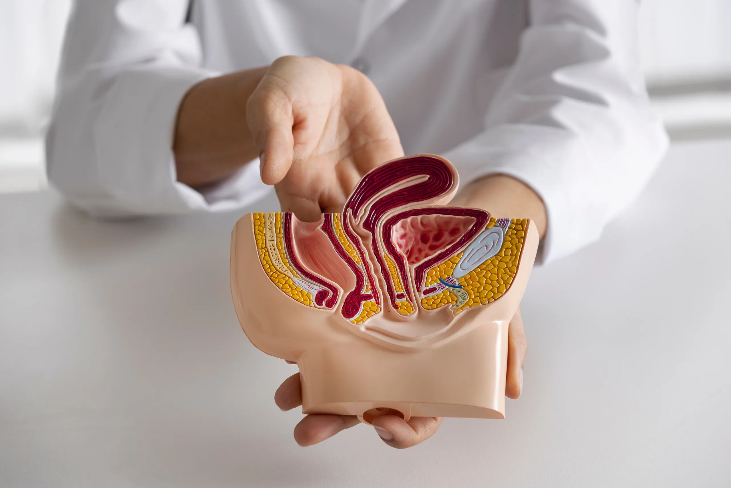Urology 1